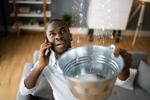Best Carpet water damage restoration  in Crestview, FL