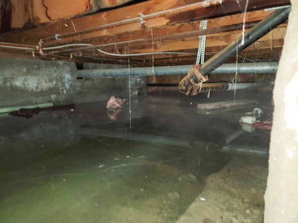 Best Fire Damage Restoration  in Crestview, FL