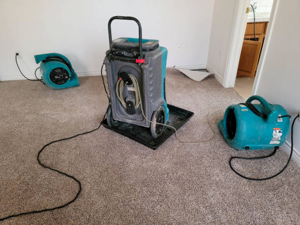 Best Flood restoration services  in Crestview, FL