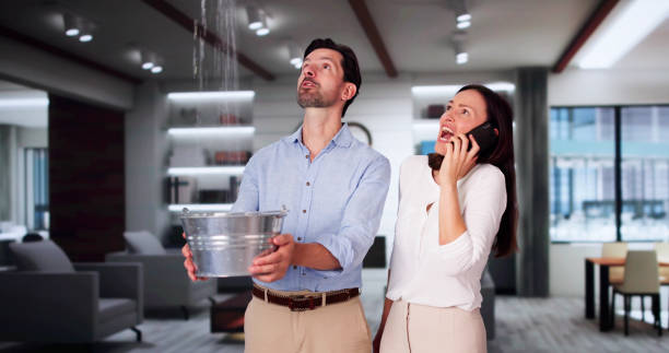 Best Mold removal after water damage  in Crestview, FL