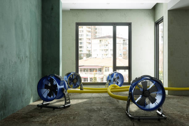 Best Water damage cleanup near me  in Crestview, FL